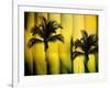 Two Palms-Andrew Michaels-Framed Photographic Print