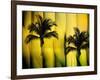 Two Palms-Andrew Michaels-Framed Photographic Print