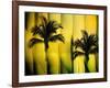 Two Palms-Andrew Michaels-Framed Photographic Print