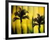 Two Palms-Andrew Michaels-Framed Photographic Print