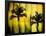 Two Palms-Andrew Michaels-Framed Photographic Print