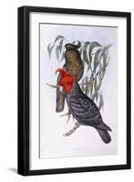 Two Parrots Perching on Branch-null-Framed Giclee Print