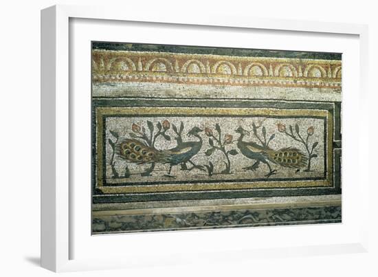 Two Peacocks, Decorative Border Detail from a Mosaic Pavement-null-Framed Giclee Print