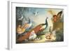 Two Peacocks, Doves, Chickens and a Rooster in a Parkland-Marmaduke Cradock-Framed Giclee Print