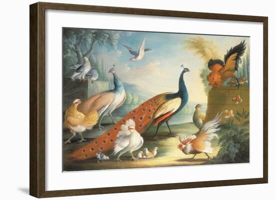 Two Peacocks, Doves, Chickens and a Rooster in a Parkland-Marmaduke Cradock-Framed Giclee Print