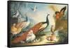 Two Peacocks, Doves, Chickens and a Rooster in a Parkland-Marmaduke Cradock-Framed Stretched Canvas