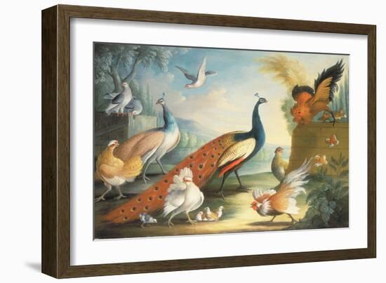 Two Peacocks, Doves, Chickens and a Rooster in a Parkland-Marmaduke Cradock-Framed Giclee Print