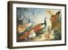 Two Peacocks, Doves, Chickens and a Rooster in a Parkland-Marmaduke Cradock-Framed Giclee Print