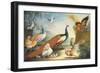 Two Peacocks, Doves, Chickens and a Rooster in a Parkland-Marmaduke Cradock-Framed Giclee Print