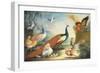 Two Peacocks, Doves, Chickens and a Rooster in a Parkland-Marmaduke Cradock-Framed Giclee Print