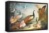 Two Peacocks, Doves, Chickens and a Rooster in a Parkland-Marmaduke Cradock-Framed Stretched Canvas