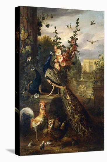 Two Peacocks on a Stone Plinth in a Garden-Jakob Bogdani Or Bogdany-Stretched Canvas