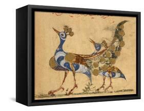 Two Peacocks-Aristotle ibn Bakhtishu-Framed Stretched Canvas