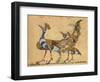 Two Peacocks-Aristotle ibn Bakhtishu-Framed Giclee Print