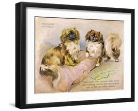 Two Pekingese Dogs and a Pink Cushion-null-Framed Art Print