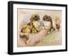 Two Pekingese Dogs and a Pink Cushion-null-Framed Art Print