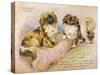 Two Pekingese Dogs and a Pink Cushion-null-Stretched Canvas