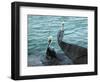 Two Pelicans-Audrey-Framed Giclee Print