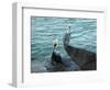 Two Pelicans-Audrey-Framed Giclee Print