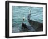 Two Pelicans-Audrey-Framed Giclee Print