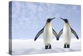 Two Penguins Holding Hands-null-Stretched Canvas