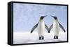 Two Penguins Holding Hands-null-Framed Stretched Canvas