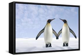 Two Penguins Holding Hands-null-Framed Stretched Canvas