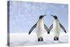 Two Penguins Holding Hands-null-Stretched Canvas