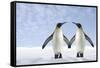 Two Penguins Holding Hands-null-Framed Stretched Canvas