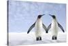 Two Penguins Holding Hands-null-Stretched Canvas