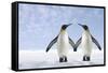 Two Penguins Holding Hands-null-Framed Stretched Canvas