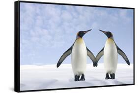 Two Penguins Holding Hands-null-Framed Stretched Canvas