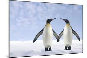 Two Penguins Holding Hands-null-Mounted Photographic Print