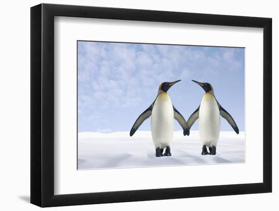 Two Penguins Holding Hands-null-Framed Photographic Print