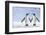 Two Penguins Holding Hands-null-Framed Photographic Print