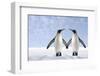 Two Penguins Holding Hands-null-Framed Photographic Print