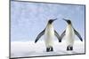 Two Penguins Holding Hands-null-Mounted Photographic Print