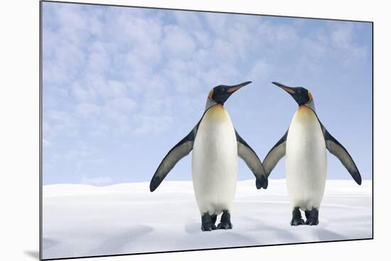 Two Penguins Holding Hands-null-Mounted Photographic Print