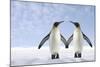 Two Penguins Holding Hands-null-Mounted Photographic Print