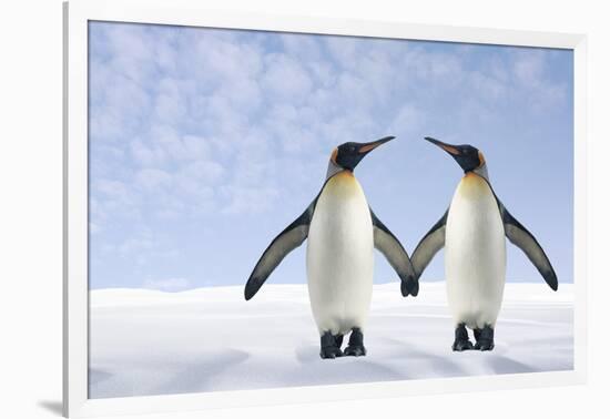 Two Penguins Holding Hands-null-Framed Photographic Print