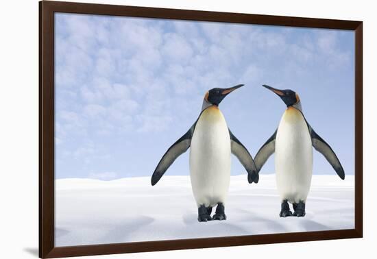 Two Penguins Holding Hands-null-Framed Photographic Print