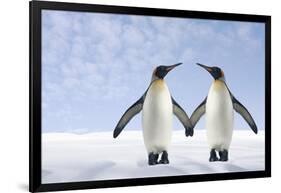 Two Penguins Holding Hands-null-Framed Photographic Print