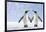 Two Penguins Holding Hands-null-Framed Photographic Print