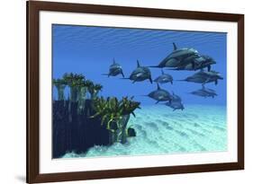Two Pennant Fish Scamper Away from a Pod of Striped Dolphins-null-Framed Art Print