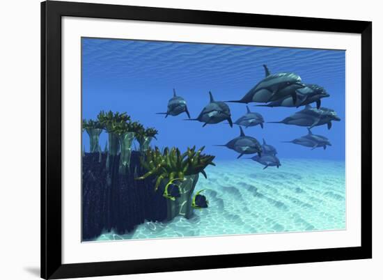 Two Pennant Fish Scamper Away from a Pod of Striped Dolphins-null-Framed Art Print