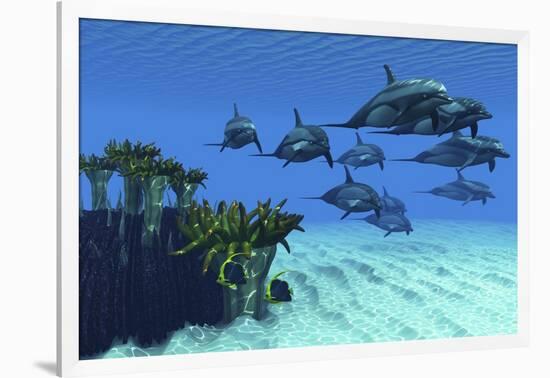 Two Pennant Fish Scamper Away from a Pod of Striped Dolphins-null-Framed Art Print