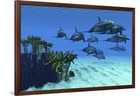 Two Pennant Fish Scamper Away from a Pod of Striped Dolphins-null-Framed Art Print