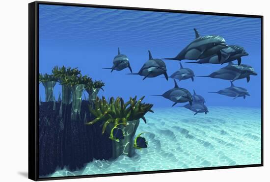 Two Pennant Fish Scamper Away from a Pod of Striped Dolphins-null-Framed Stretched Canvas