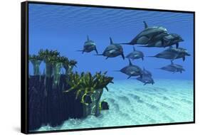 Two Pennant Fish Scamper Away from a Pod of Striped Dolphins-null-Framed Stretched Canvas