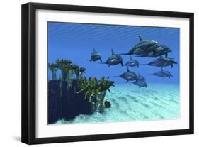 Two Pennant Fish Scamper Away from a Pod of Striped Dolphins-null-Framed Art Print